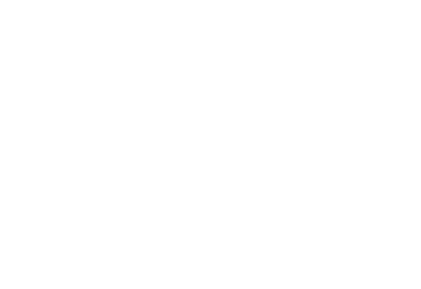 Anadolu Etap meyvecilik ve meyve suyu &#x15F;irketi kuruldu. 