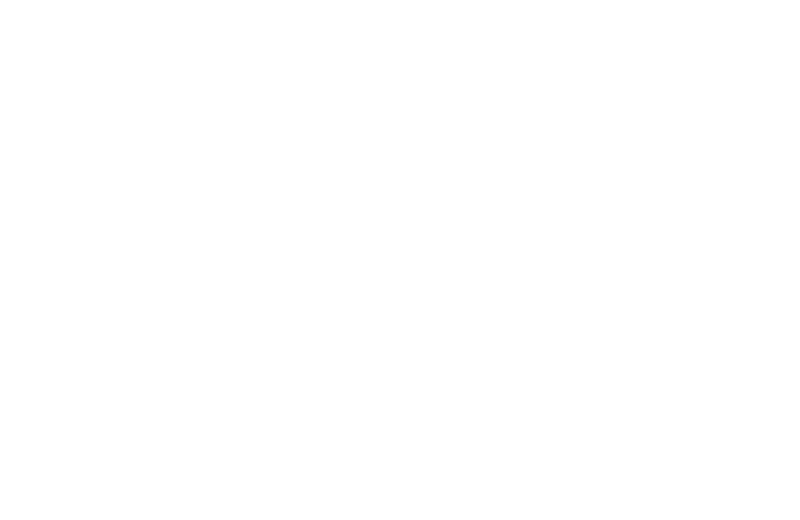 Togg was established with Anadolu Group as one of its key partners.