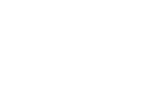 Anadolu Group&#x2019;s holding companies were consolidated under a single entity.