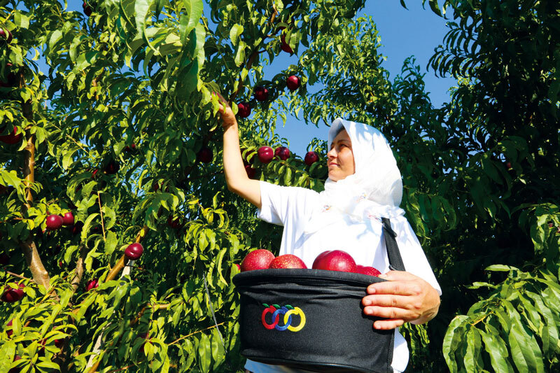 Topluma katk&#x131;m&#x131;z&#x131; duyarl&#x131;l&#x131;kla ger&#xE7;ekle&#x15F;tiriyoruz