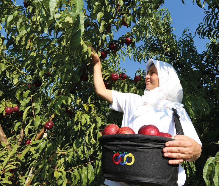 The Pioneer of Sustainable Agriculture Practices in T&#xFC;rkiye