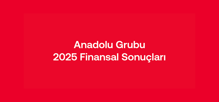 Anadolu Grubu,  Çeşitlendirilmiş Portföy ve Mali Disiplin ile Büyüdü