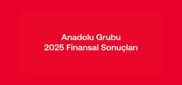 Anadolu Grubu,  Çeşitlendirilmiş Portföy ve Mali Disiplin ile Büyüdü